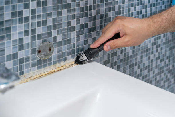 Best Mold Removal Near Me  in Burlington, KS