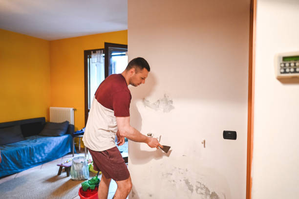 Best Affordable Mold Removal  in Burlington, KS