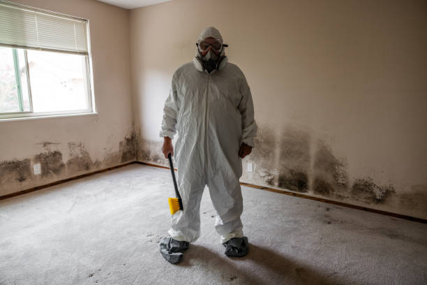 Best Mold Removal Company Near Me  in Burlington, KS
